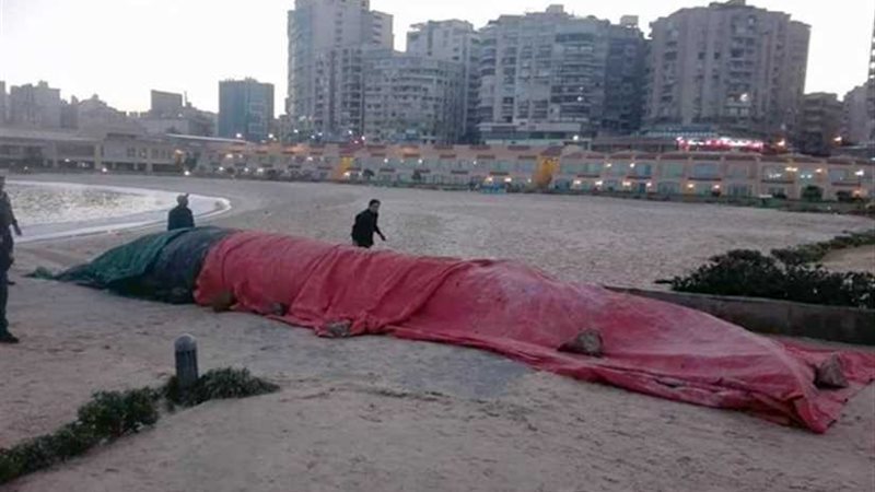 وزير البيئة : تم