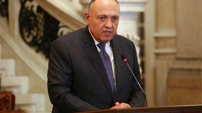 سامح شكري: وقعنا مذكرات بمجال الدبلوماسية والسياحة والزراعة مع تنزانيا