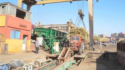 محافظ المنيا يفتتح موسم عصير قصب السكر بمصنع أبوقرقاص (صور)