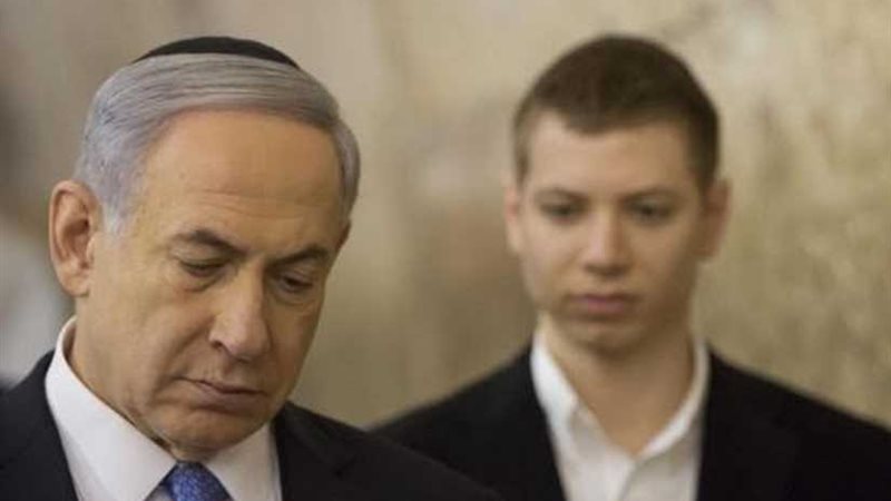 نتنياهو الابن يدخل