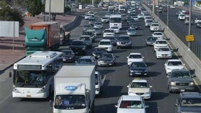 بالفيديو| تعرف على