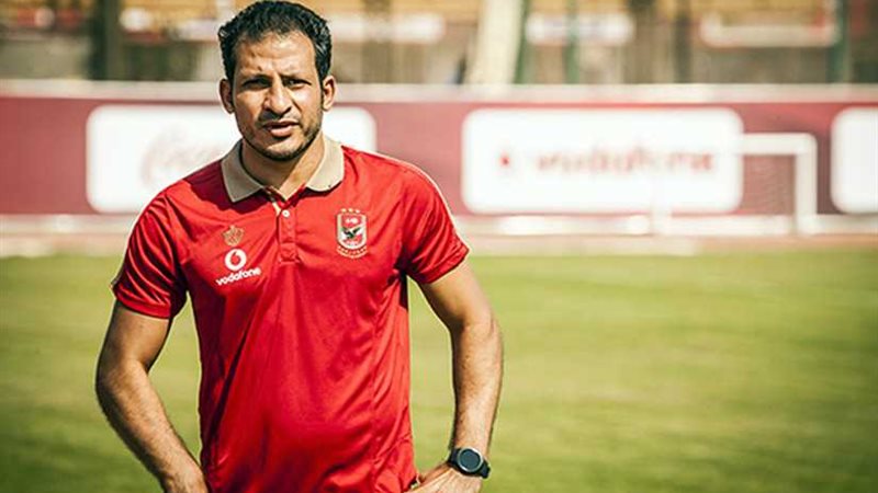 معوض: درسنا المصري