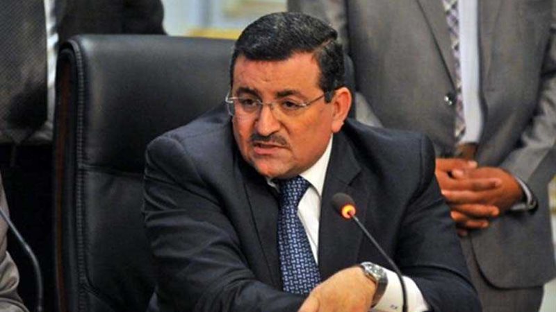 أسامة هيكل: الواقع