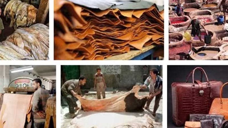 الجلود المتطورة: