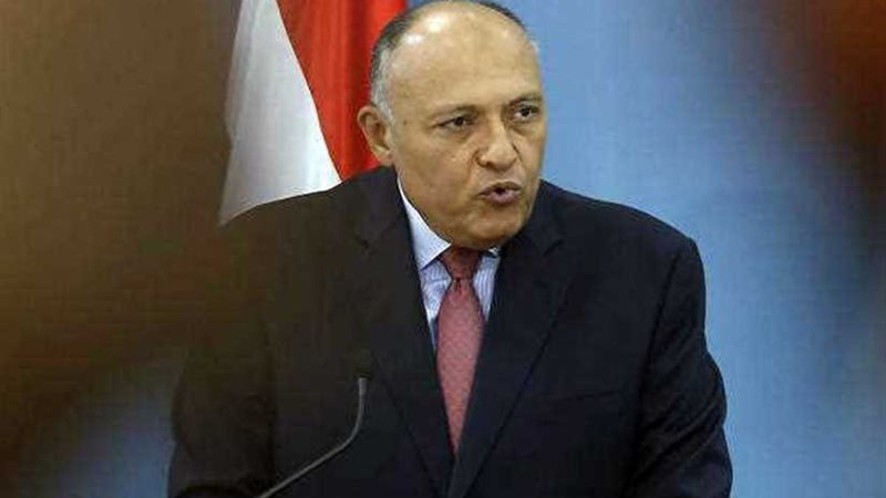 وزير الخارجية يشدد