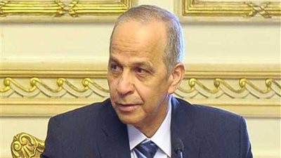 محافظ القليوبية يسلم 900 كرتونة للسلع الغذائية للأسر الفقيرة بشبين القناطر