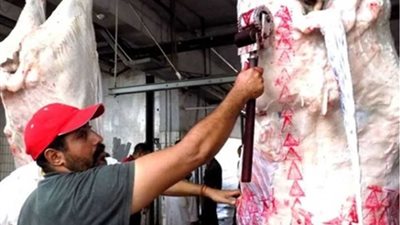 غدا: بدء استخدام أختام 