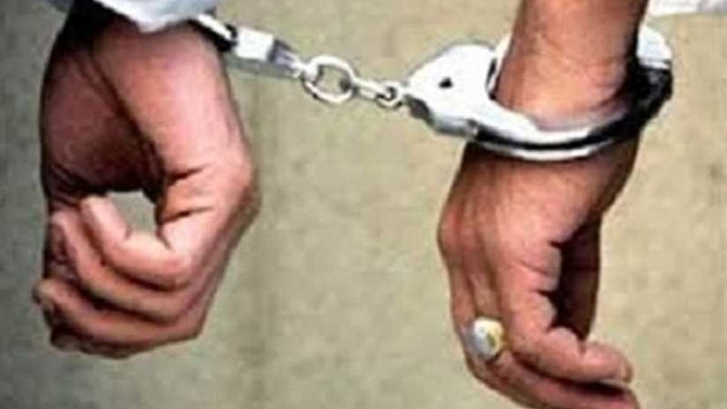 البحيرة.. ضبط 10