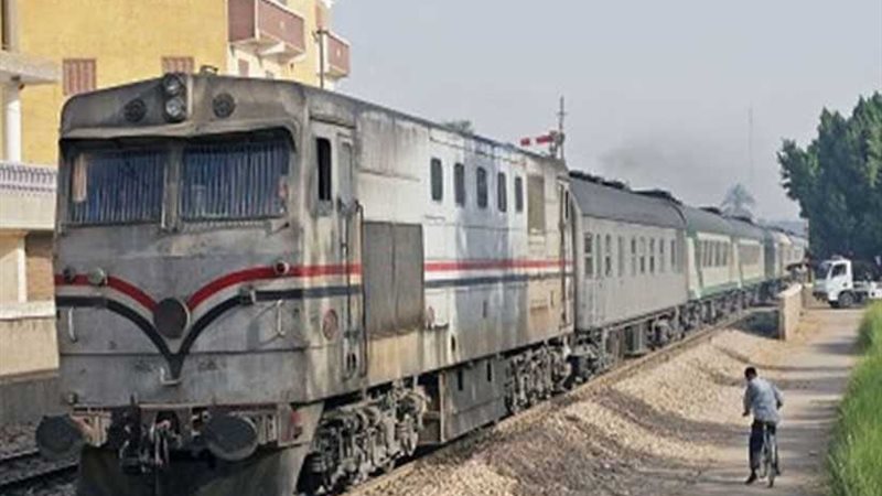 جاموسة توقف خط الصعيد