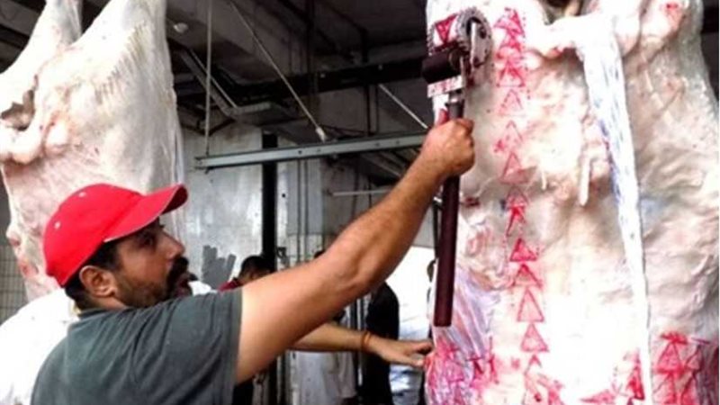 غدا: بدء استخدام