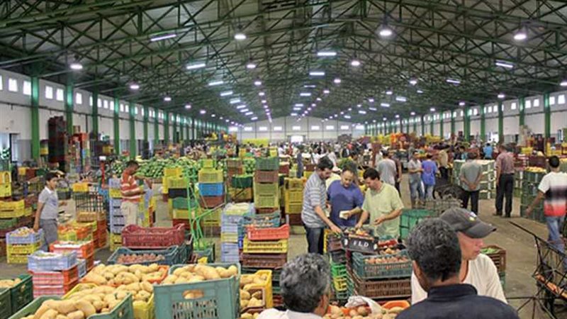 تعرف على أسعار الخضروات