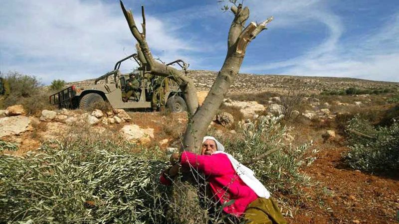 مستوطنون يحطمون 110