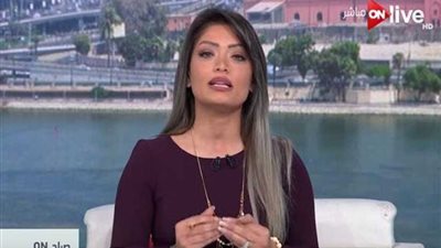 بالفيديو.. أسما قنديل: التعديل الوزاري المرتقب لتغيير دماء الحكومة