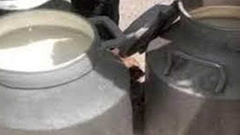 ضبط طن ألبان فاسدة