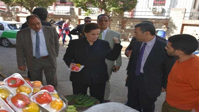 محافظ البحيرة تتفقد