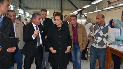 جولة محافظ البحيرة في المنطقة الصناعية بكفر الدوار