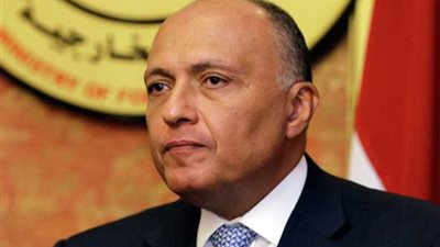 غدًا.. جلسة مشاورات بين شكري ووزير خارجية إثيوبيا