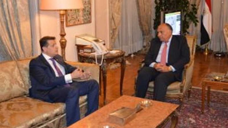 طارق رضوان يلتقي