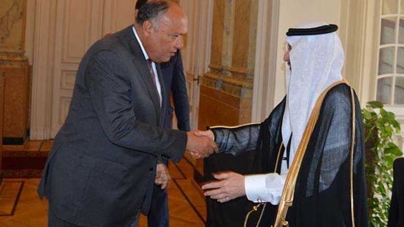 شكري يستقبل أمين