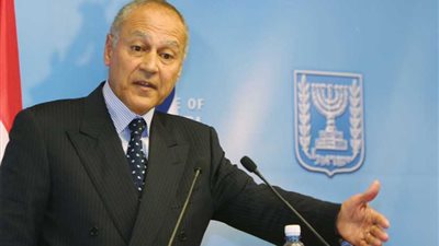 أبوالغيط يستنكر تعليق 