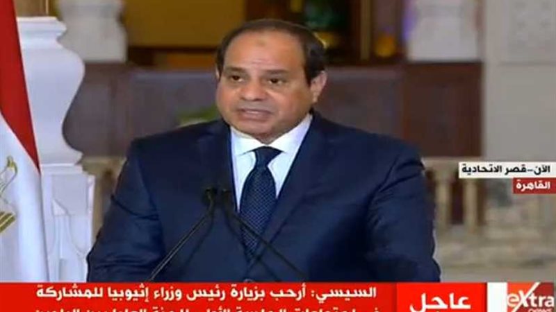 السيسي: سنقدم كل