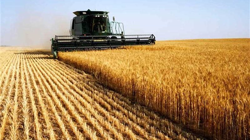 زراعة الغربية: تخصيص