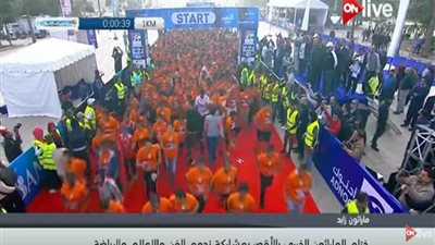 الأقصر..ختام ماراثون زايد بمشاركة نجوم الفن والرياضة