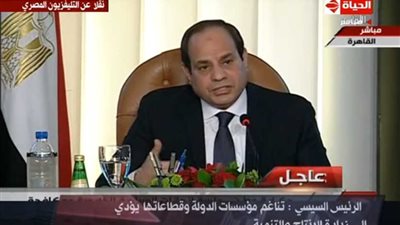 السيسي: نحتاج من 10 إلى 15 سنة حتى تستعيد الدولة عافيتها (فيديو)