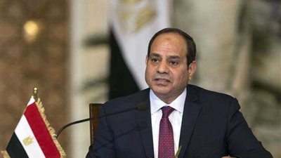 الرئيس السيسي: الهدف من هذه اللقاءات هو تبصرة المواطنين بواقع الدولة