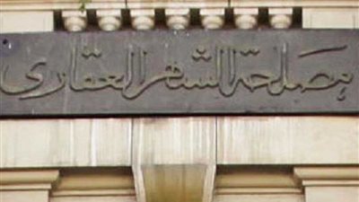 21368 توكيلًا للسيسي و163 لخالد علي بالقليوبية