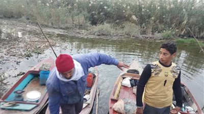 فتح بوغازي رشيد والمعدية وانتظام حركة الصيد بالبحيرة