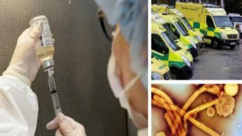 فيروس الإنفلونزا