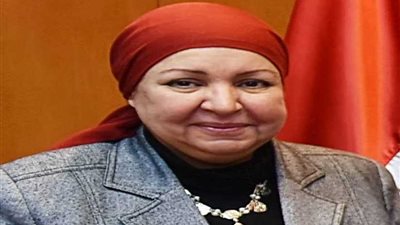 رويترز: استقالة منى زوبع رئيس الهيئة العامة للاستثمار