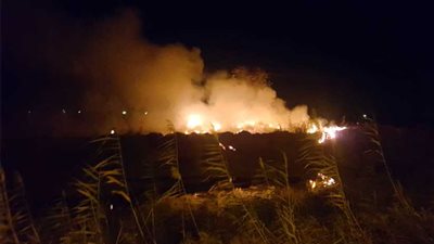 البحيرة..السيطرة على حريق هائل بجوار شركة البتروكيماويات