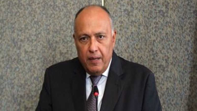 شكري يتوجه إلى الرياض