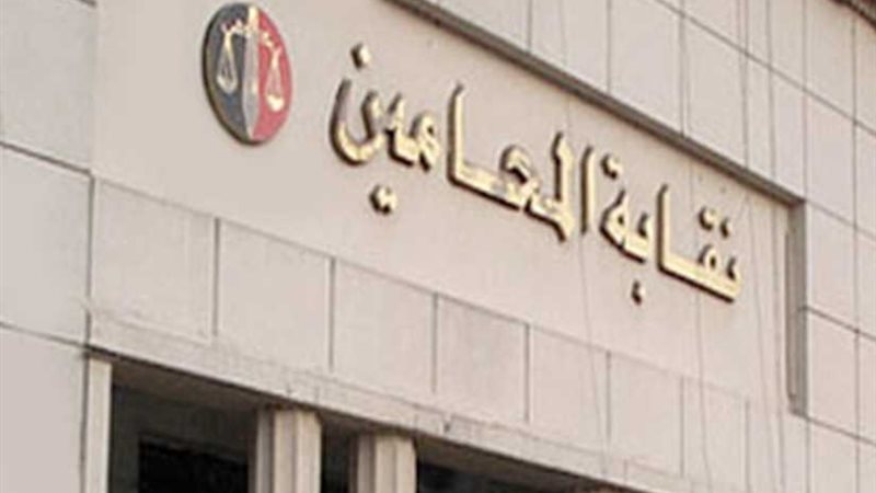 محامين دمياط تدعم