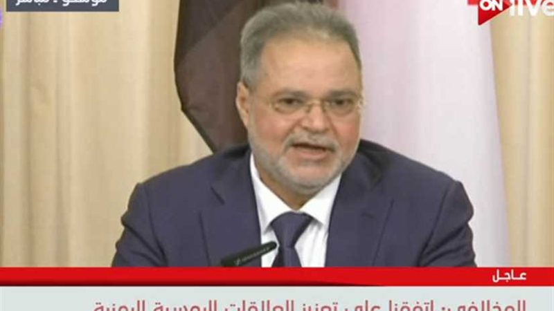 بالفيديو| وزير الخارجية