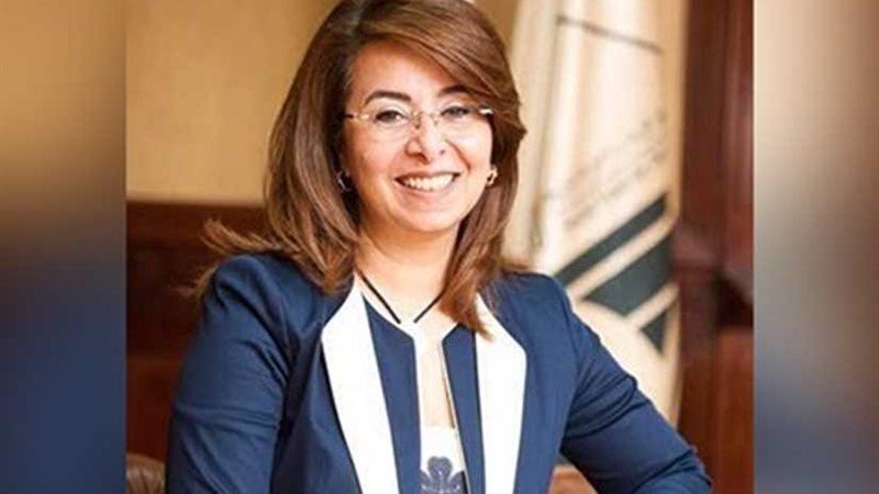 غادة والي: 64 مؤسسة