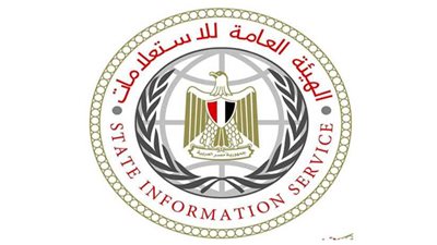 هيئة الإستعلامات: تجاوزات مهنية في بعض التغطيات الأجنبية للانتخابات الرئاسية