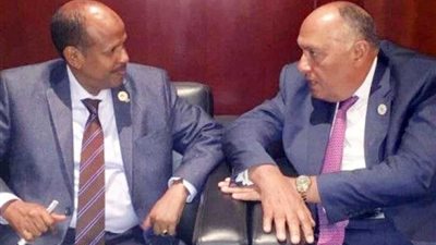 شكري يبحث التعاون الثنائي والقضايا الإقليمية مع وزير خارجية جيبوتي