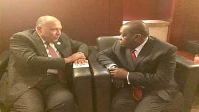 سامح شكري يلتقي مع نظيره الزيمبابوي على هامش قمة الاتحاد الأفريقي