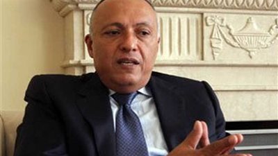 شكري يؤكد علي اهمية الارتقاء بمستوي التبادل التجاري مع غانا