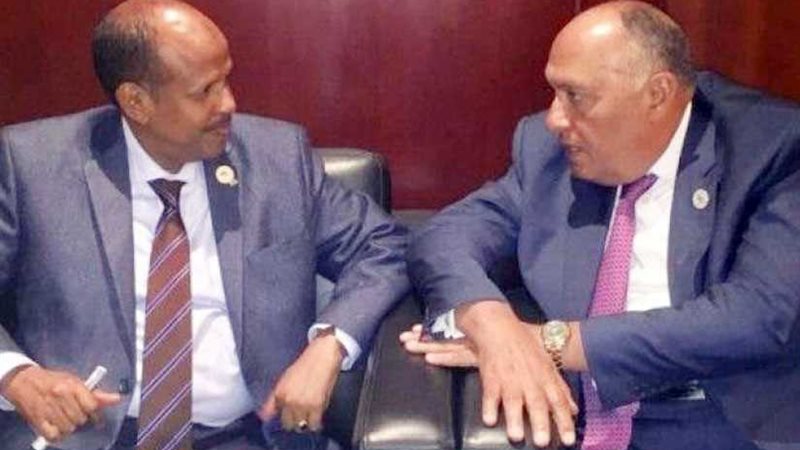 شكري يبحث التعاون