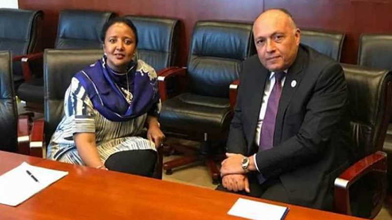 وزير الخارجية يلتقي