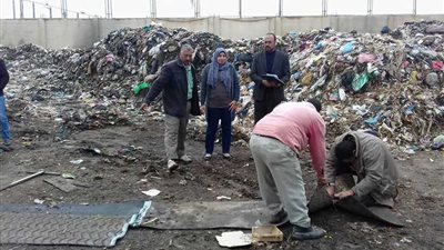 المنوفية.. إنتاج 85 طن أسمدة من القمامة بالشهداء