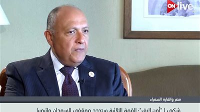 شكري: القمة الثلاثية ستحدد موقف السودان وإثيوبيا تجاه سد النهضة (فيديو)