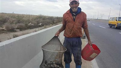 عودة حركة الصيد ببحيرة إدكو بعد تحسن الأحوال الجوية