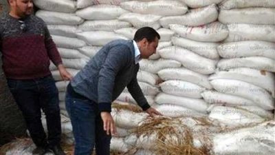 تحرير 414 قضية تموينية خلال شهر في بني سويف