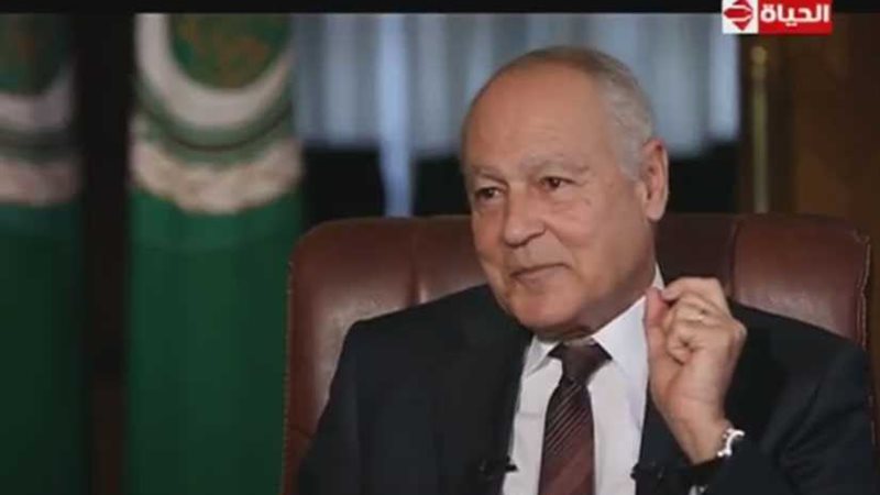 أبوالغيط: مصر وسوريا