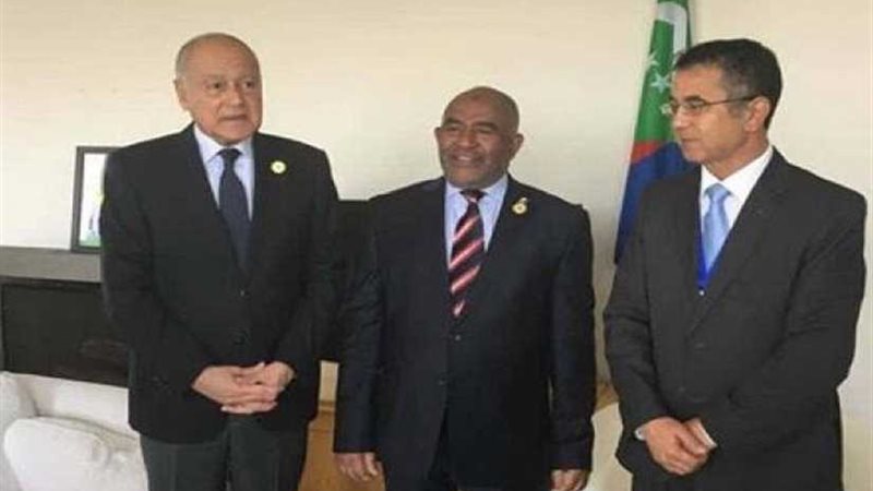 أبو الغيط يلتقي رئيس